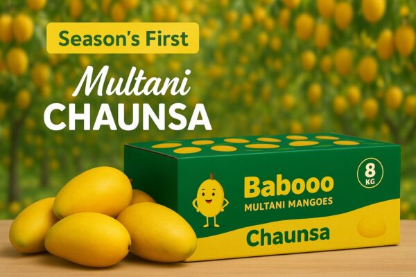 Multani Chaunsa Mango – 8kg