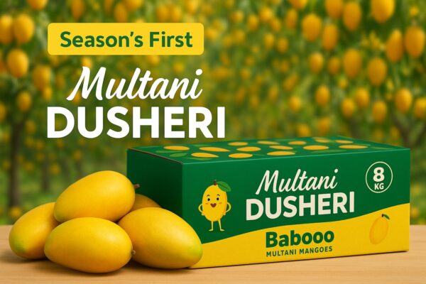 Multani Dusheri Mango – 8kg