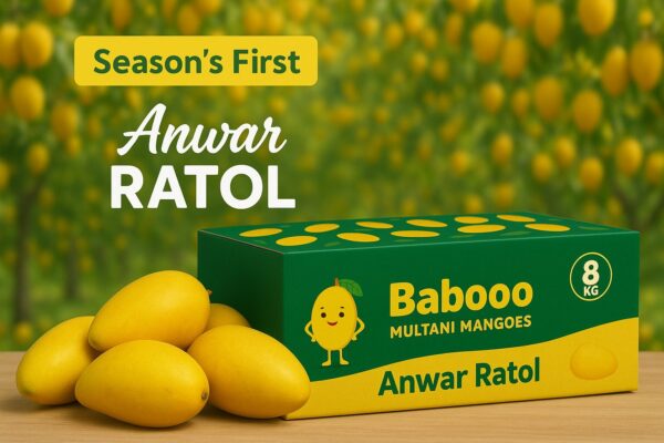 Anwar Ratol Mango – 8kg