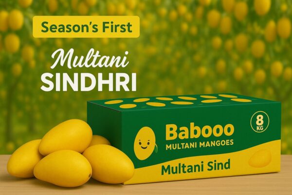 Multani Sindhri Mango – 8kg