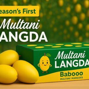 Premium Langda Mangoes - 8KG