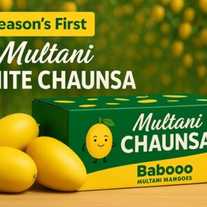 White Chaunsa Mango – 8kg